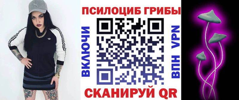 Купить  Октябрьский  Псилоцибиновые грибы Psilocybine cubensis 